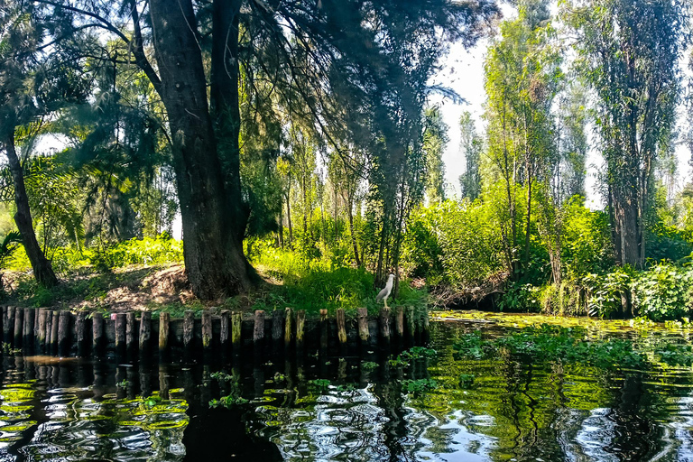 Xochimilco: Original Doll Island, & Axolotl Tour Mexico City: Canals, Original Doll Island, & Axolotl Tour