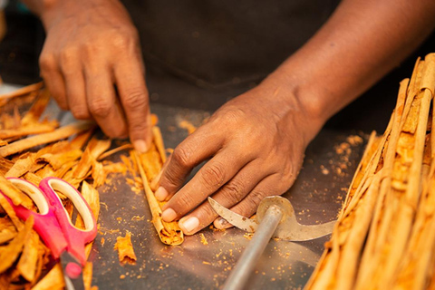 Galle Day Tour With Scenic Coastal Train Ride From Colombo Colombo-Galle Scenic Train Ride & Southern Highlights Tour