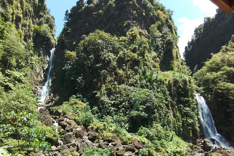 Roseau: Rainforest tour of Trafalgar Waterfalls & Geysers.