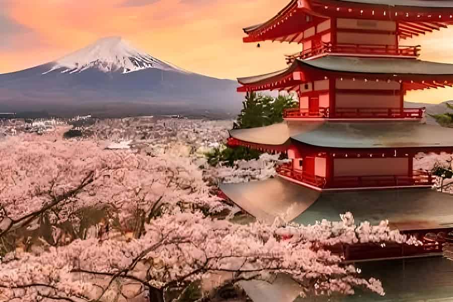 Tokio: Mount Fuji und Hakone private Tour Sightseeingtour. Foto: GetYourGuide Tokio: Mount Fuji und Hakone private Tour Sightseeingtour. Foto: GetYourGuide