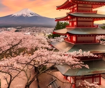 Tokyo: Mount Fuji and Hakone private sightseeing tour