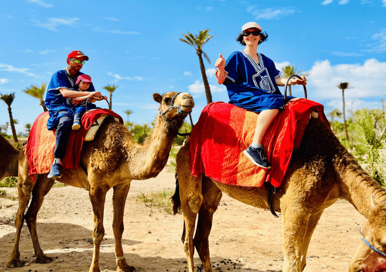Marrakech : balade à dos de chameau dans l'oasis de la Palmeraie - dromadaire