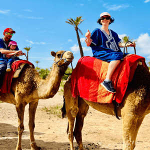 Marrakech: Camel Ride in the Oasis Palmeraie