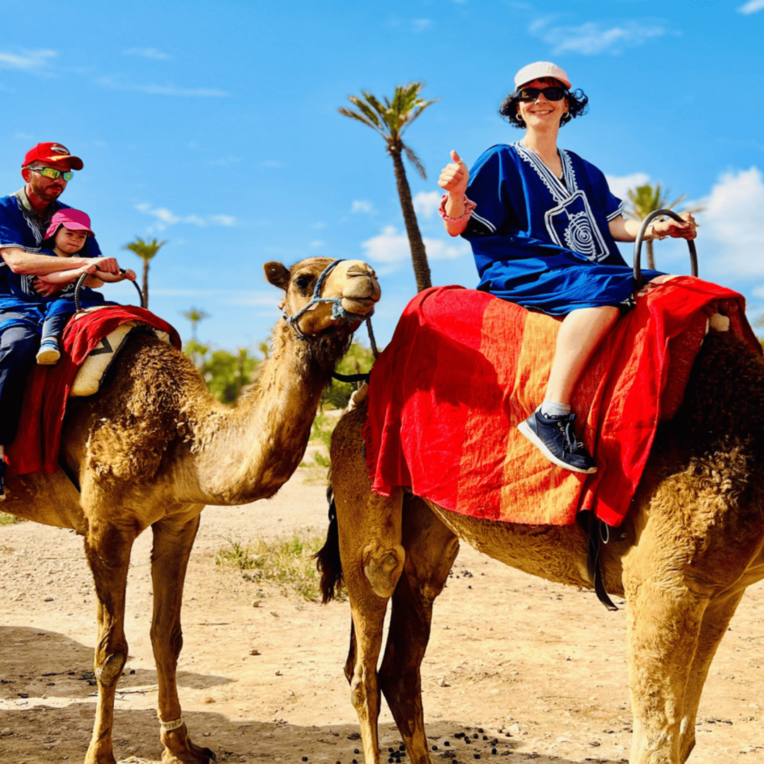 Marrakech : balade à dos de chameau dans l'oasis de la Palmeraie - dromadaire