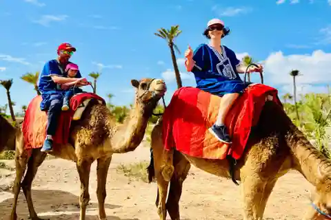 Marraquexe: Passeio de camelo no Oásis Palmeraie