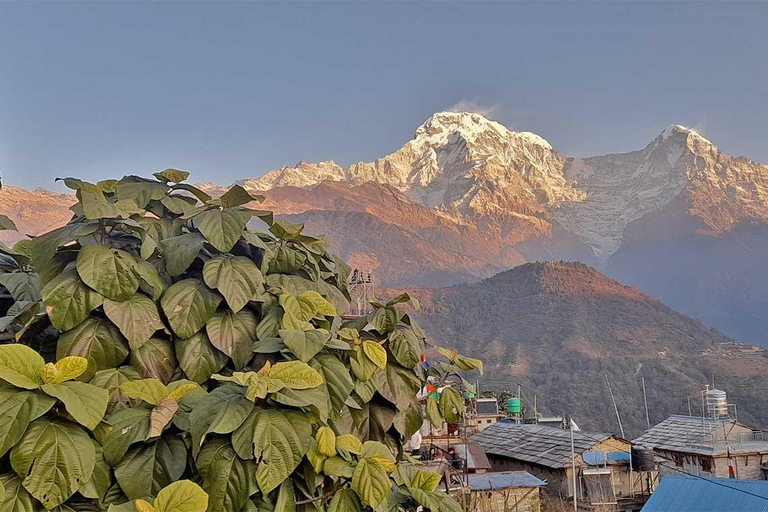 From Kathmandu: 7-Day Ghorepani Poon Hill Jeep Tour