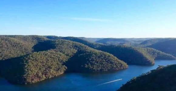 Hawkesbury River Secrets - Cruise & Koala Experience