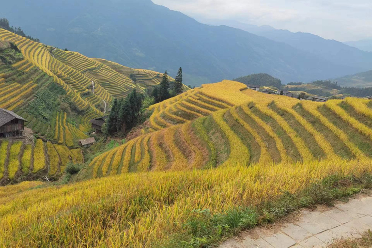 Guilin: Day tour of Longji Rice Terraces and YangshuoLongji rice terraces and Yangshuo Xingping small boat