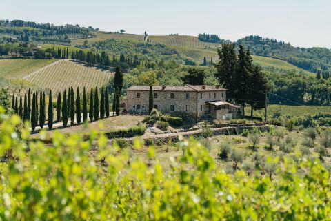 Fra Firenze: Besøk vingårder i Chianti med mat og vinsmaking