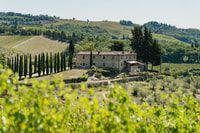 Florence, Chianti Wineries Tour with Food and Wine Tasting - Housity