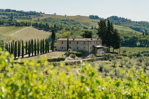 Florence : visite des vignobles du Chianti avec dégustationVisite en groupe en anglais