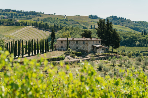 Florencja: wycieczka po winnicach Chianti z degustacją potraw i winaWycieczka grupowa w języku angielskim