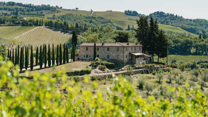Florence: Chianti Wineries Tour with Food and Wine Tasting