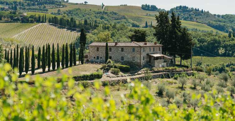 Florence Chianti Wineries Tour with Food and Wine Tasting GetYourGuide
