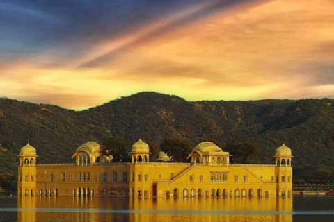 Jaipur: Private Full Or Half-Day City Tour by Car Private Jaipur Half-Day City Tour with Only Guide Service