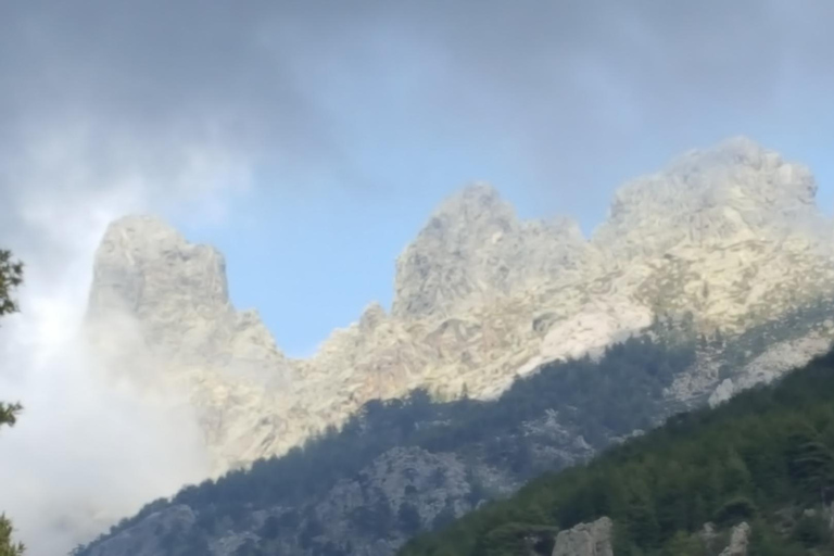 Porto Vecchio: 4x4-tur till Cuscionu-platån och Alta RoccaPorto Vecchio: Cuscionu-platån och Alta Rocca 4x4 guidad tur