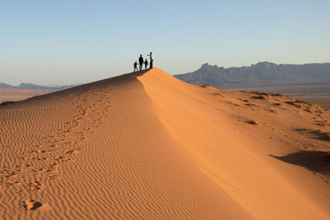 From Windhoek: 6-Day Namibia Safari with Lodging & Meals