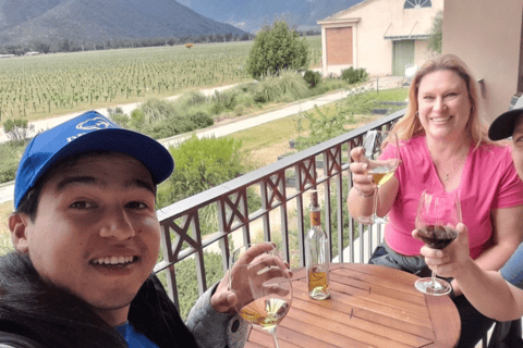 Valparaíso, Viña del Mar and Casablanca Full Day Experience