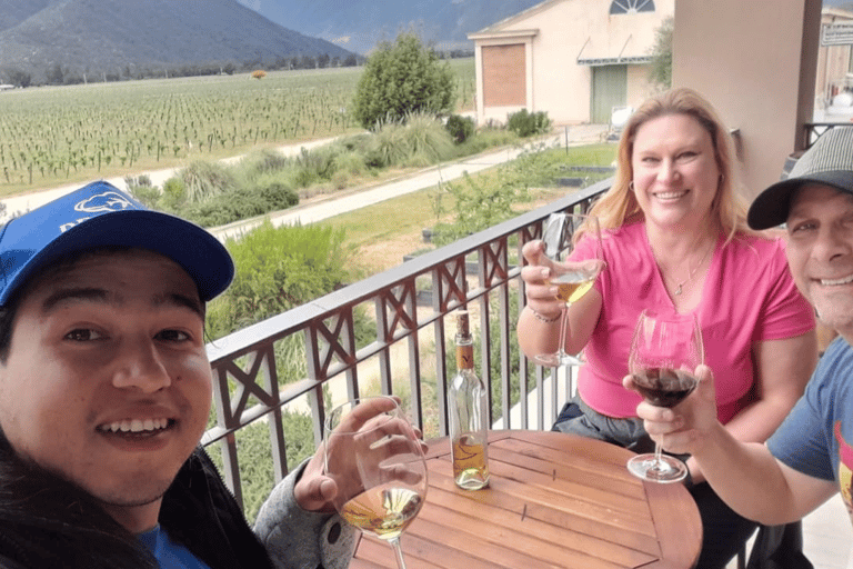 Valparaíso, Viña del Mar and Casablanca Full Day Experience