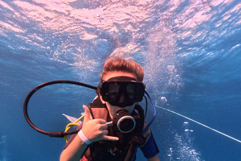 Intro Diving Débutant et découverte de la mer rouge sous l&#039;eau