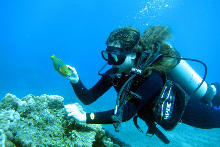 Easter Island – Introductory Dive in the Corals of Rapa Nui Easter Island: Introductory Dive in the Corals of Rapa Nui