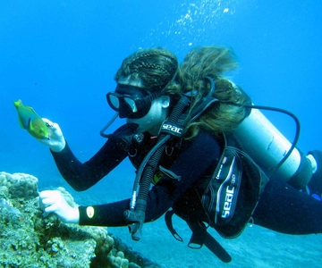 Easter Island: Tropical Diving