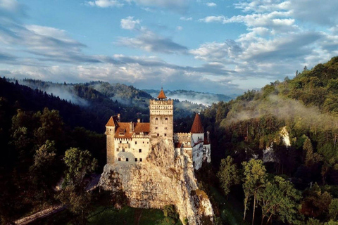 Bucharest: Peles and Bran Castles and Brasov Day Trip Tour in Italian