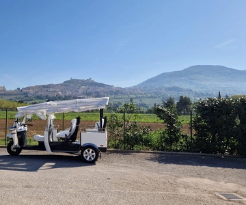 E - Tuk Panoramic Tour Assisi with audio guides