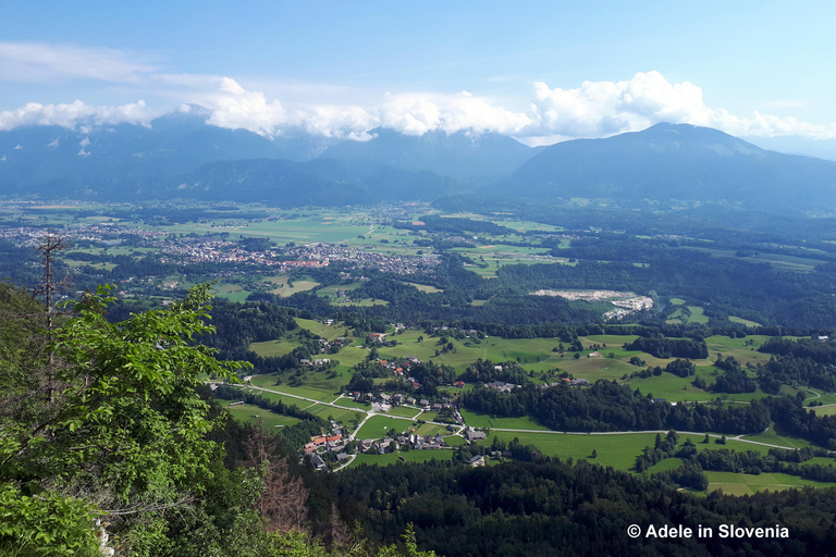 Bled: Guided Jelovica Plateau E-Bike Tour with Views