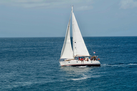 Excursion to Les Saintes : Full-Day Sailing and Snorkeling