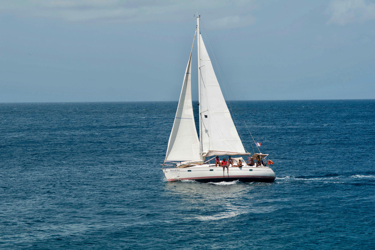 Excursion to Les Saintes : Full-Day Sailing and Snorkeling