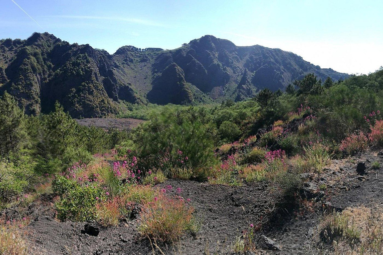 Pompeii: Private Guided Tour with Herculaneum – 3 Options Pompeii Herculaneum & Naples