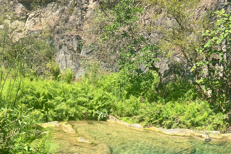 Hike to Hidden Waterfalls – Ayn Ghedh Adventure