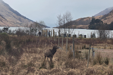 Edinburgh: Highlands Day Trip with Glenfinnan Viaduct