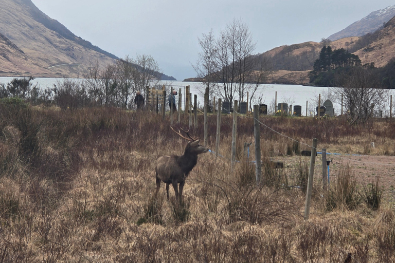 Edinburgh: Highlands Day Trip with Glenfinnan Viaduct