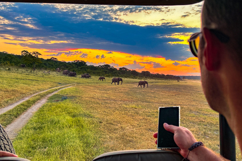 Cataratas Victoria: Safari por el Parque Nacional ZambezeSafari por la tarde