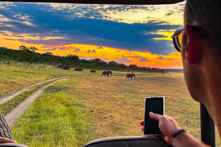 Chutes Victoria : Safari dans le parc national du ZambèzeSafari matinal