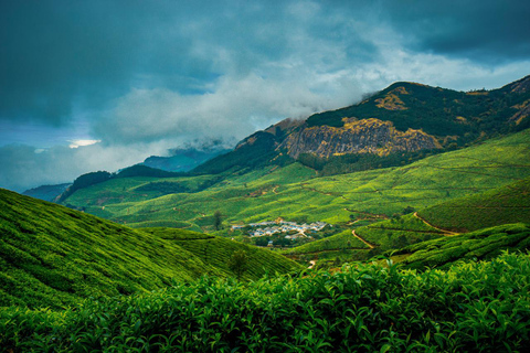 Excursion aller-retour d'une journée à Munnar, à partir de Kochi, comprenant tous les éléments essentiels