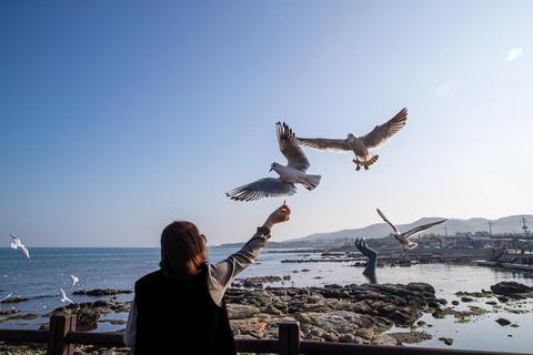 Busan : Compte à rebours du Nouvel An 2026 et visite au lever du soleil à HomigotVisite partagée, rendez-vous à la station Haeundae