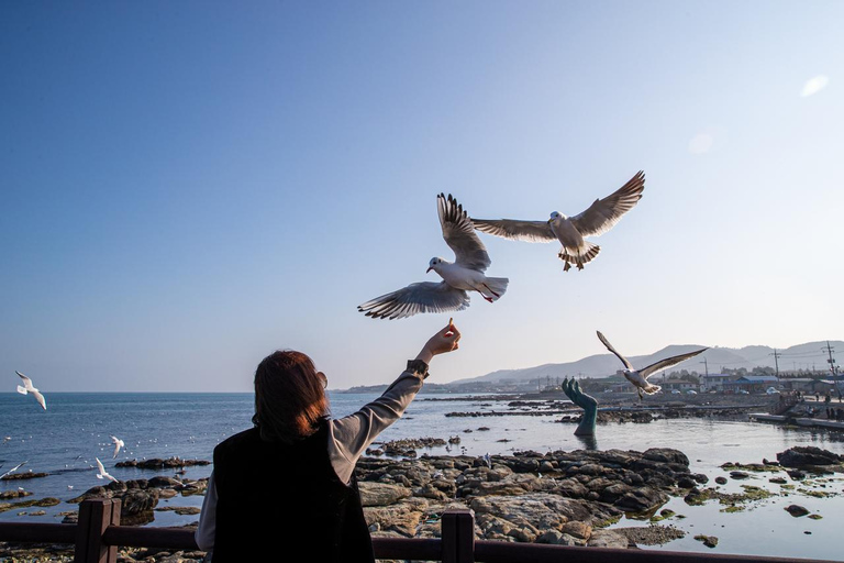 Busan : Compte à rebours du Nouvel An 2026 et visite au lever du soleil à HomigotVisite partagée, rendez-vous à la station Haeundae