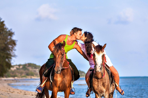 Soma Bay: Reittour mit HoteltransferSoma Bay: Reittour ohne Hoteltransfer