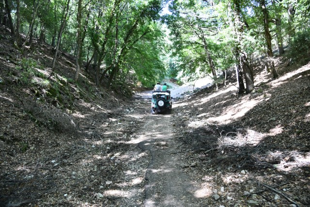 Visit Jeep Safari in the Gargano National Park in Italy