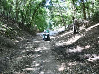Jeep Safari no Parque Nacional Gargano