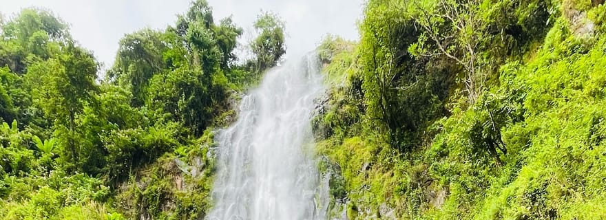 Arusha/Moshi : cascade, café et vin de banane