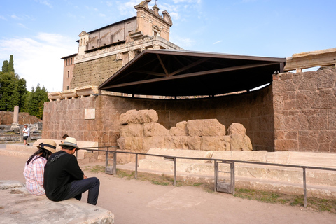 Roma: Tour dell&#039;Arena del Colosseo, del Foro Romano e del PalatinoTour per piccoli gruppi (massimo 10 partecipanti)