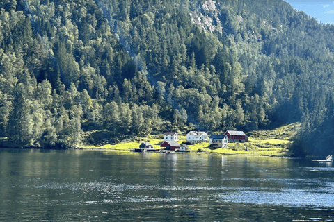 Best of Bergen: Fjord Cruise and Guided City Walk
