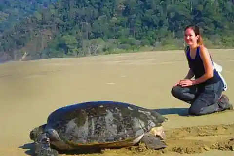 Surabaya : 4 Days Mt Bromo Ijen & Sukamade Turtle Drop Bali