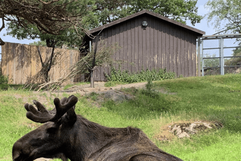 Slottsskogen Easy Hike, Observatory, and Zoo Tour