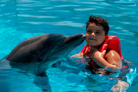 Alanya: Dolphin Aquapark of Superlatives with Transport Alanya: Dolphin Water Park of Superlatives with Transfer
