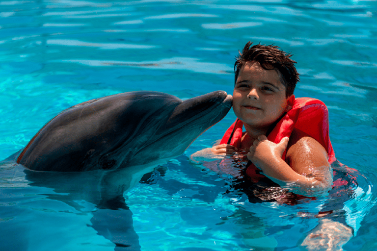 Alanya: Dolphin Aquapark of Superlatives with Transport Alanya: Dolphin Water Park of Superlatives with Transfer